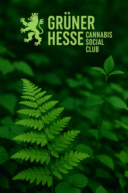 canabis_social_club_wieedbaden