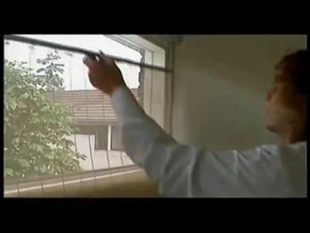 experiment-erlaubt-legalen-cannabisanbau-in-den-niederlanden-thr