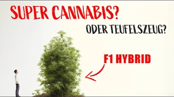 F1 Hybride: Das Potenzial und die Herausforderungen im Überblick