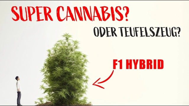 F1 Hybride: Das Potenzial und die Herausforderungen im Überblick